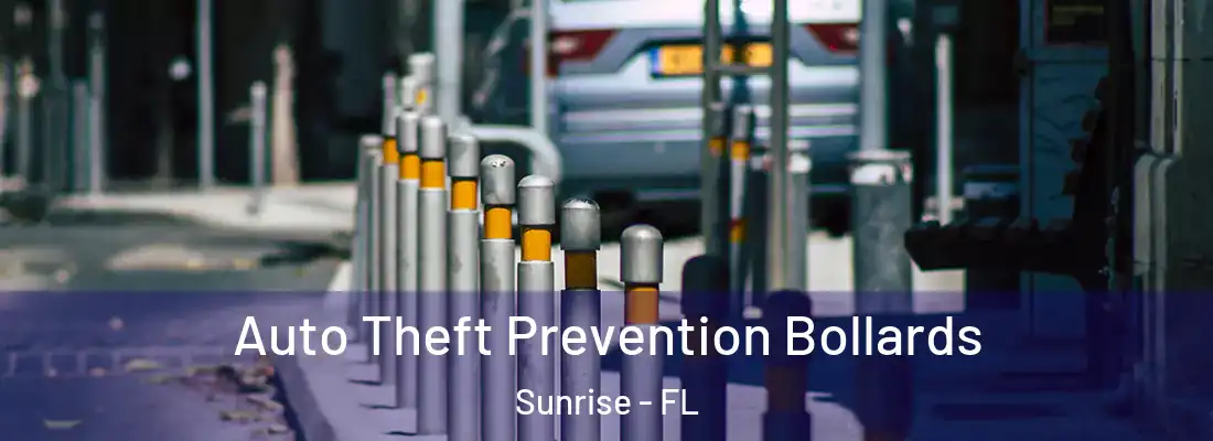  Auto Theft Prevention Bollards Sunrise - FL